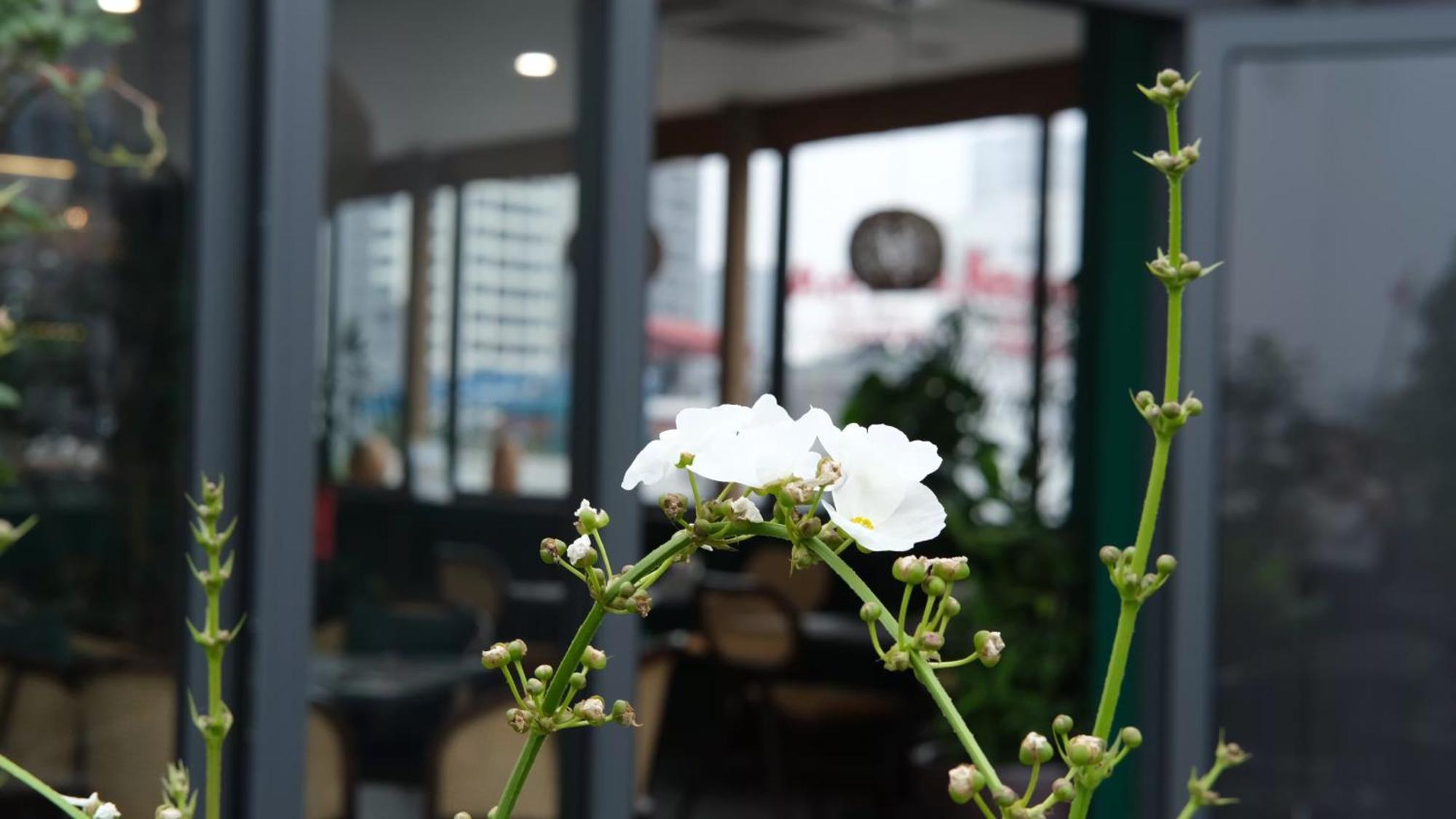 The Bloom Classic - Hotel And Bistro Hanoi Kültér fotó