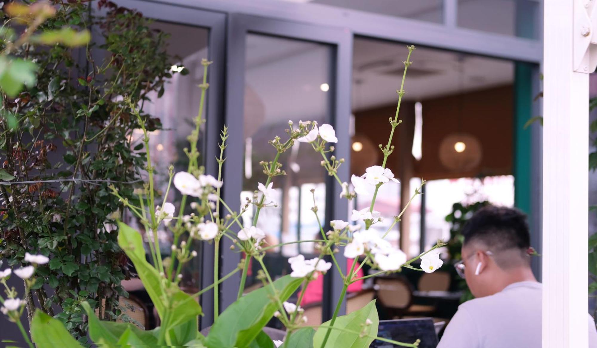 The Bloom Classic - Hotel And Bistro Hanoi Kültér fotó